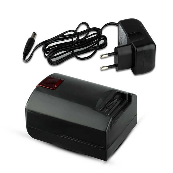 Aspirator 2 în 1 Vertical fără Fir RAF R.8667