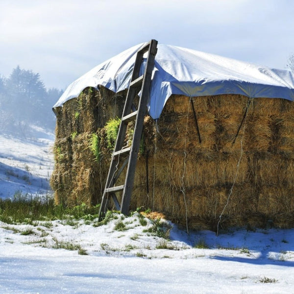 PACHET Prelata de protectie 5/6 m, impermeabila, rezistenta la UV si grindina + Parasolar pliabil tip umbrela pentru parbrizul masinii